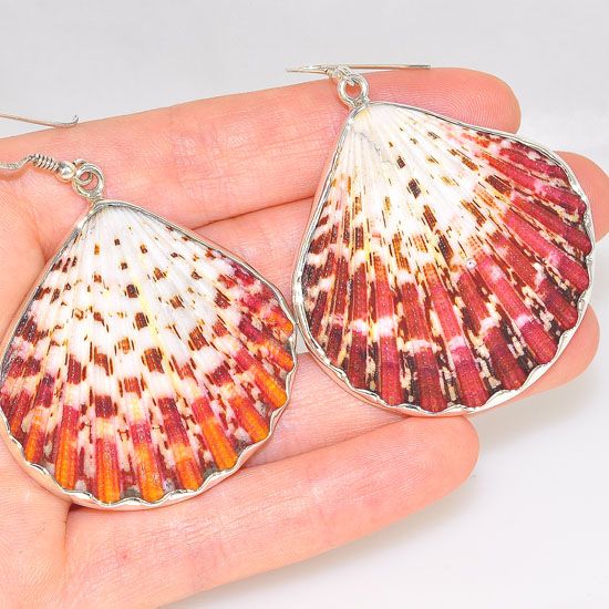 Sterling Silver Sunset Pectin Shell Earrings