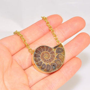 Charles Albert Alchemia Fossil Ammonite Necklace