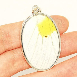 Sterling Silver Authentic Yellow Butterfly Wing Oval Pendant