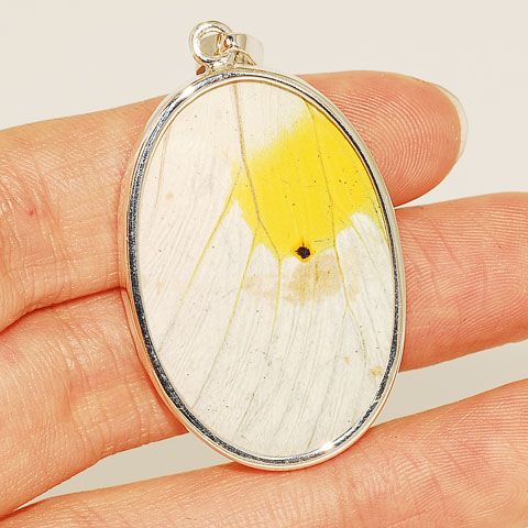 Sterling Silver Authentic Yellow Butterfly Wing Pendant