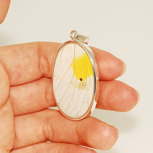 Sterling Silver Authentic Yellow Butterfly Wing Pendant