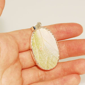 Sterling Silver Authentic Yellow Butterfly Wing Pendant