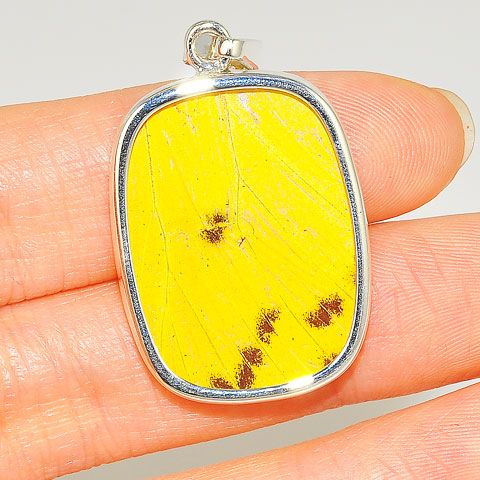 Sterling Silver Yellow Butterfly Wing Pendant