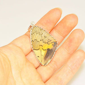 Sterling Silver Genuine Butterfly Wing Pendant