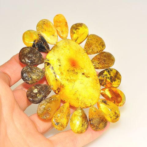 3.5-Inch Baltic Amber with Sterling Silver Pin