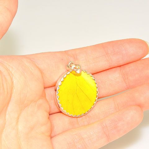 Sterling Silver Yellow Butterfly Wing Medallion Pendant