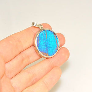 Sterling Silver Blue Butterfly Wing Medallion Pendant