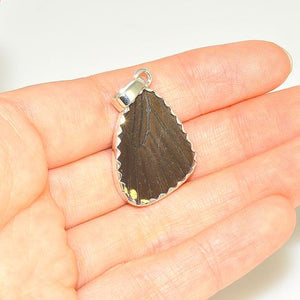 Sterling Silver Real Butterfly Wing Pendant