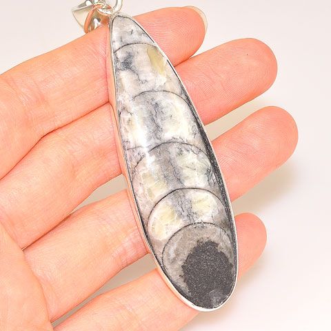 Charles Albert Sterling Silver Fossil Orthoceras Pendant