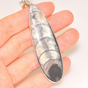 Charles Albert Sterling Silver Fossil Orthoceras Pendant