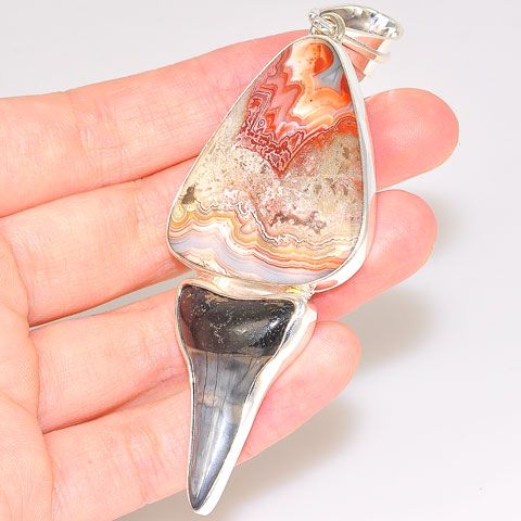 Sterling Silver Crazy Lace Agate and Fossil Shark Tooth Pendant