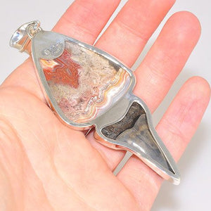 Sterling Silver Crazy Lace Agate and Fossil Shark Tooth Pendant