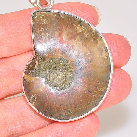 Charles Albert Sterling Silver Fossil Ammonite Pendant