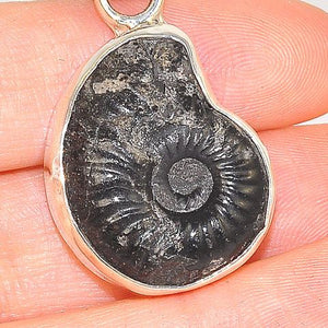 Charles Albert Sterling Silver Fossil Ammonite Pendant