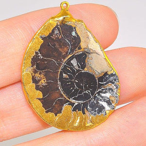 24K Gold Plated Over Sterling Silver Fossil Ammonite Pendant