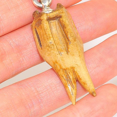 Sterling Silver Fossil Walrus Ivory Pendant