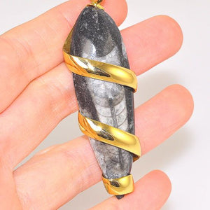 Charles Albert Alchemia Fossilized Orthoceras Wire Wrapped Pendant