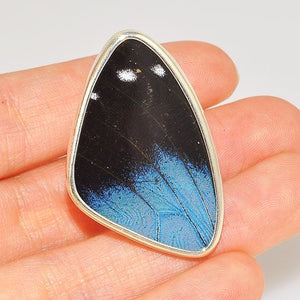 Sterling Silver Butterfly Wing Ring